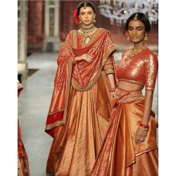 Lehenga choli designs sales for plus size